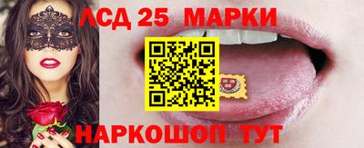 гидропоника Гусев