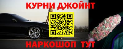 гидропоника Гусев