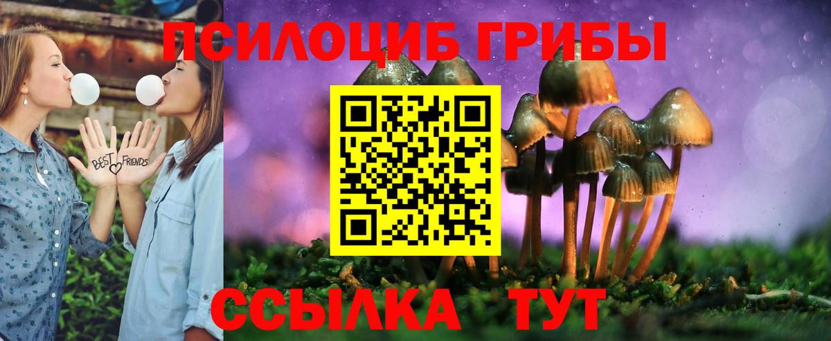 Галлюциногенные грибы Magic Shrooms  Вход с VPN  Мариинск 